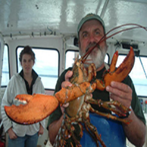 bar-harbor-man-lulu-lobster-boat-ride