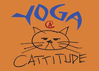 bar-harbor-man-yoga-at-cattitude
